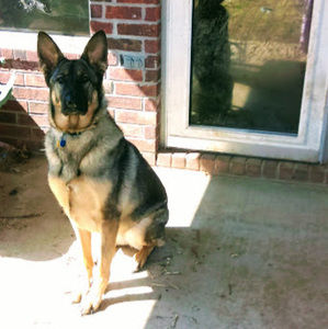 Meet your Posher, Marla